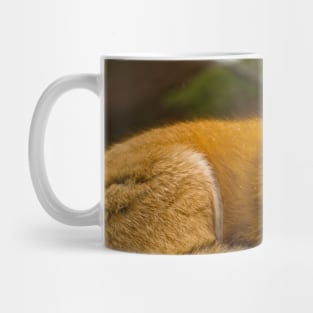 Red Fox Mug